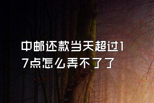 中邮还款当天超过17点怎么弄不了了