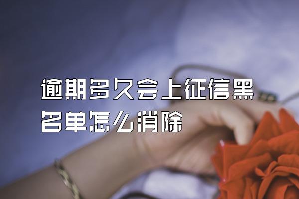 逾期多久会上征信黑名单怎么消除