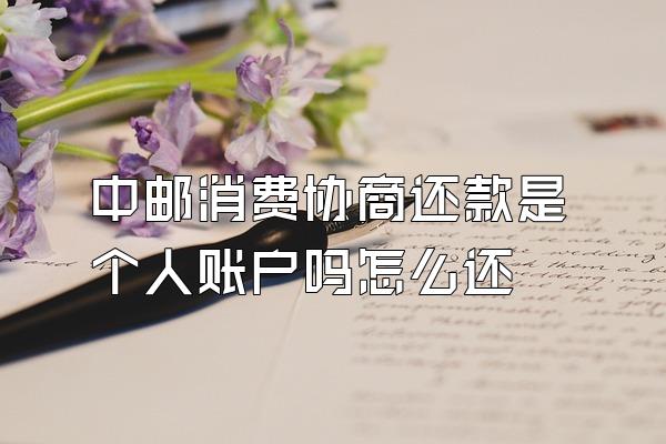 中邮消费协商还款是个人账户吗怎么还