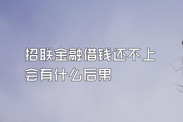 招联金融借钱还不上会有什么后果