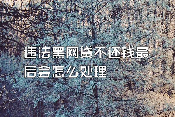 违法黑网贷不还钱最后会怎么处理