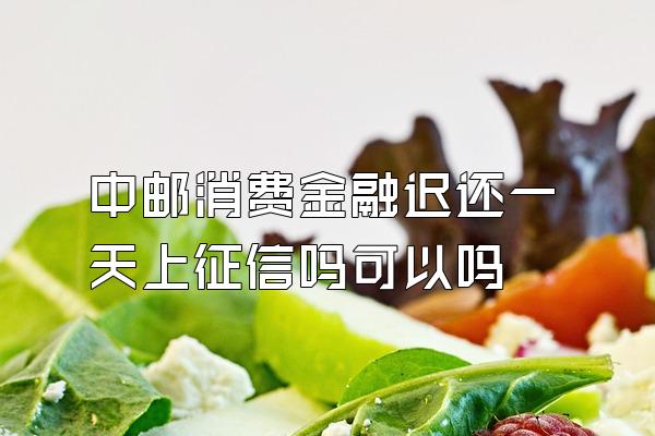 中邮消费金融迟还一天上征信吗可以吗
