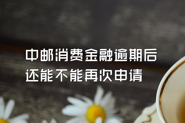 中邮消费金融逾期后还能不能再次申请
