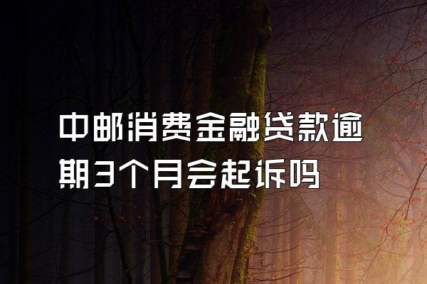 中邮消费金融贷款逾期3个月会起诉吗