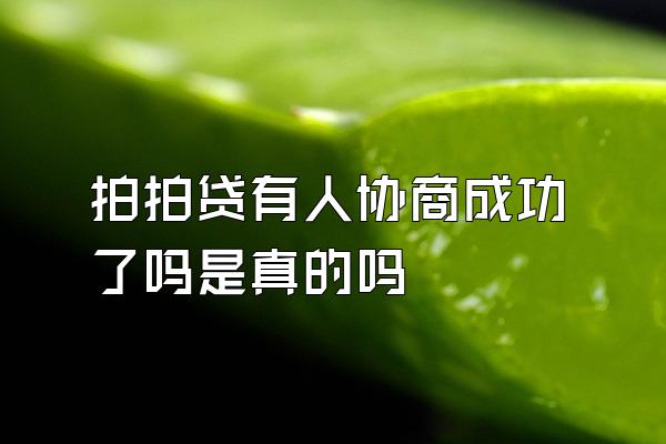 拍拍贷有人协商成功了吗是真的吗