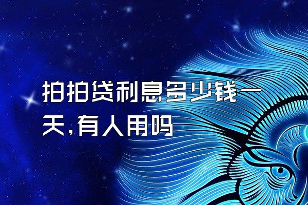 拍拍贷利息多少钱一天,有人用吗