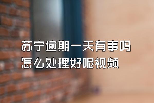 苏宁逾期一天有事吗怎么处理好呢视频
