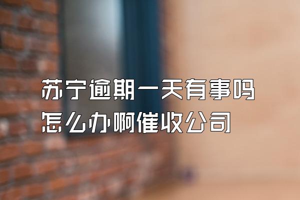 苏宁逾期一天有事吗怎么办啊催收公司