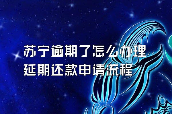 苏宁逾期了怎么办理延期还款申请流程