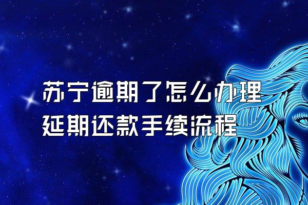 苏宁逾期了怎么办理延期还款手续流程