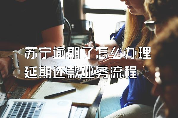 苏宁逾期了怎么办理延期还款业务流程