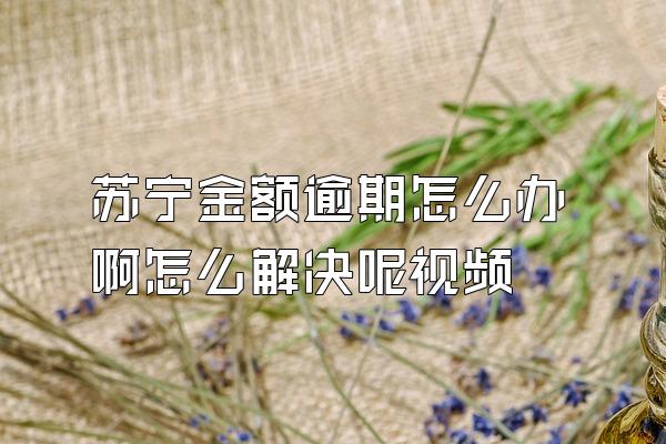 苏宁金额逾期怎么办啊怎么解决呢视频