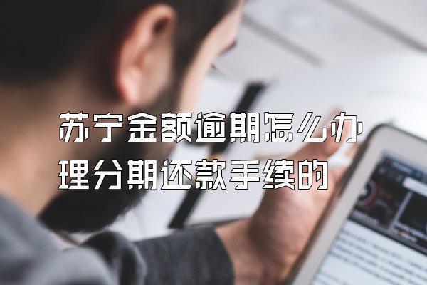 苏宁金额逾期怎么办理分期还款手续的