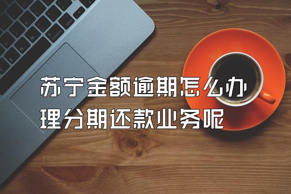 苏宁金额逾期怎么办理分期还款业务呢