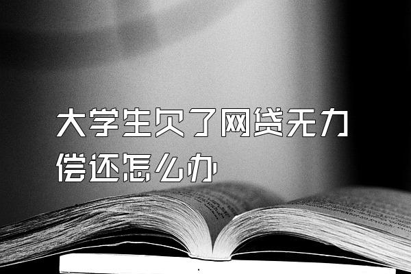 大学生欠了网贷无力偿还怎么办