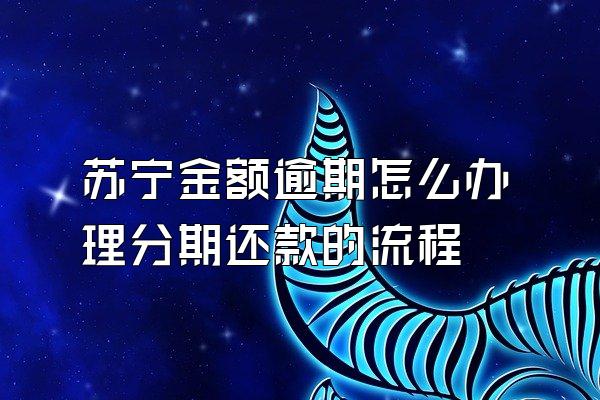 苏宁金额逾期怎么办理分期还款的流程