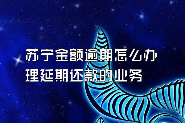 苏宁金额逾期怎么办理延期还款的业务