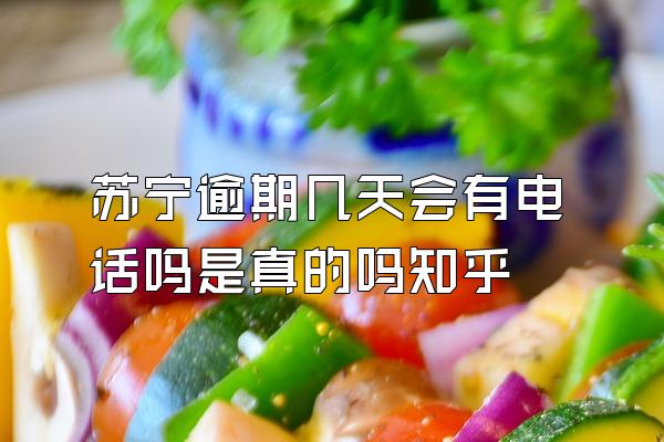 苏宁逾期几天会有电话吗是真的吗知乎