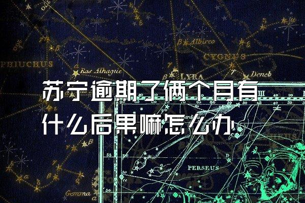 苏宁逾期了俩个月有什么后果嘛怎么办