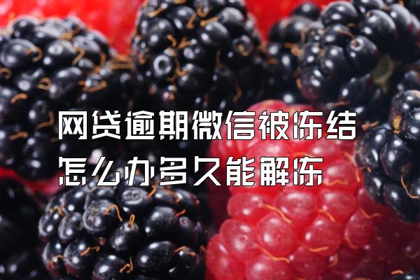 网贷逾期微信被冻结怎么办多久能解冻