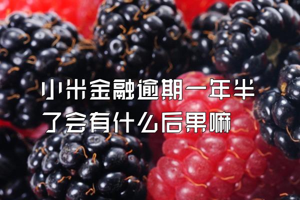小米金融逾期一年半了会有什么后果嘛