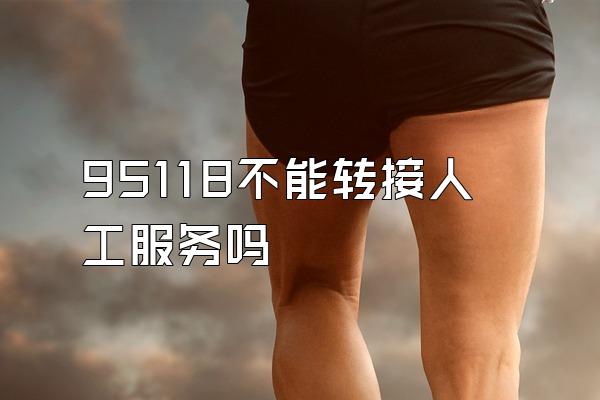 95118不能转接人工服务吗