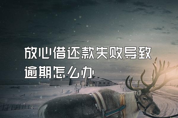 放心借还款失败导致逾期怎么办