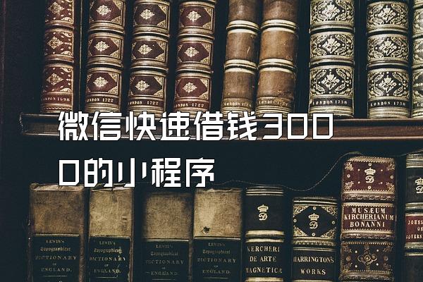 微信快速借钱3000的小程序