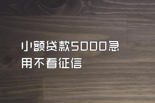 小额贷款5000急用不看征信