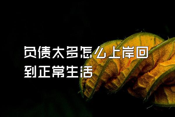 负债太多怎么上岸回到正常生活