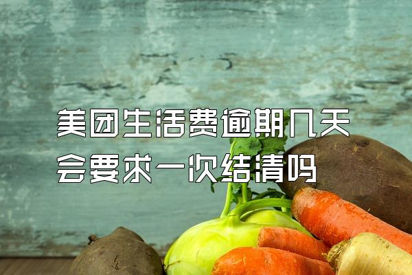 美团生活费逾期几天会要求一次结清吗