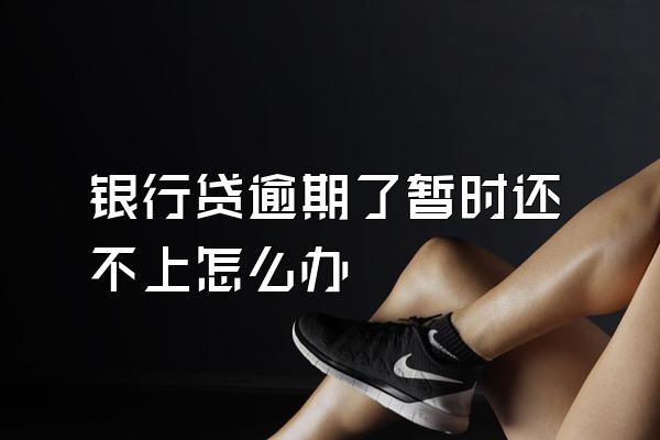 银行贷逾期了暂时还不上怎么办