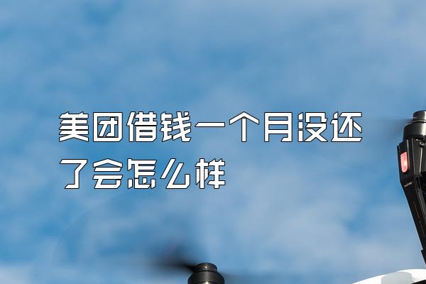 美团借钱一个月没还了会怎么样