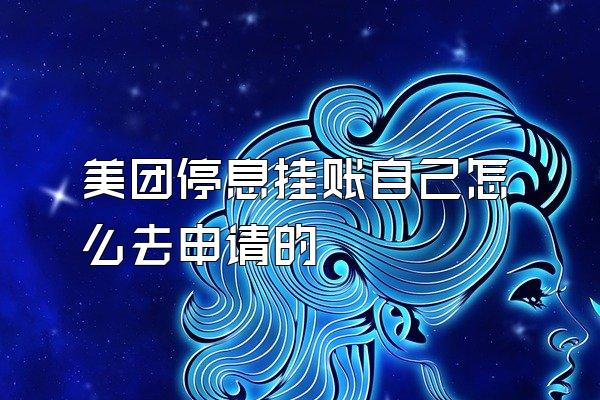 美团停息挂账自己怎么去申请的