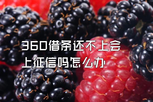 360借条还不上会上征信吗怎么办
