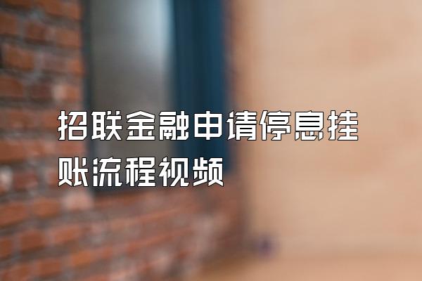 招联金融申请停息挂账流程视频