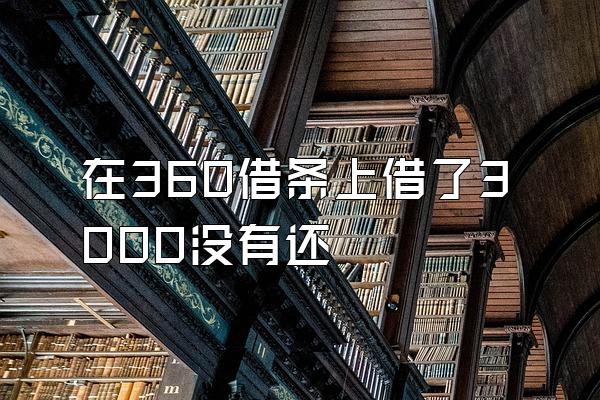 在360借条上借了3000没有还