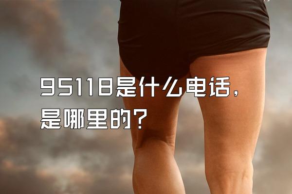 95118是什么电话,是哪里的?