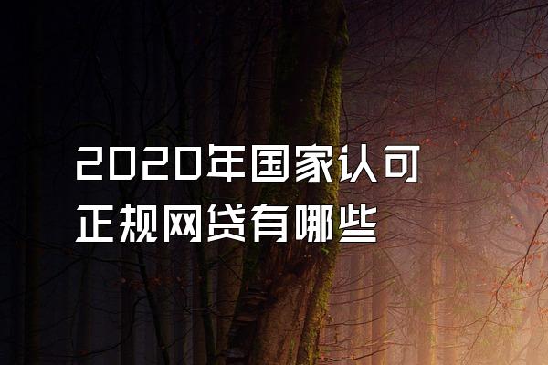 2020年国家认可正规网贷有哪些