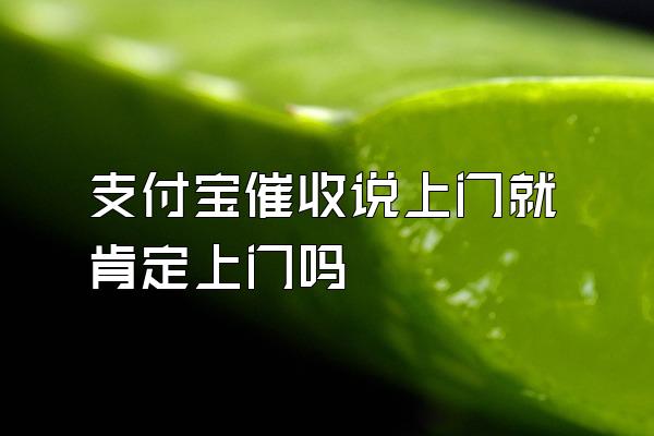 支付宝催收说上门就肯定上门吗