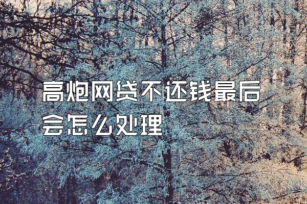 高炮网贷不还钱最后会怎么处理