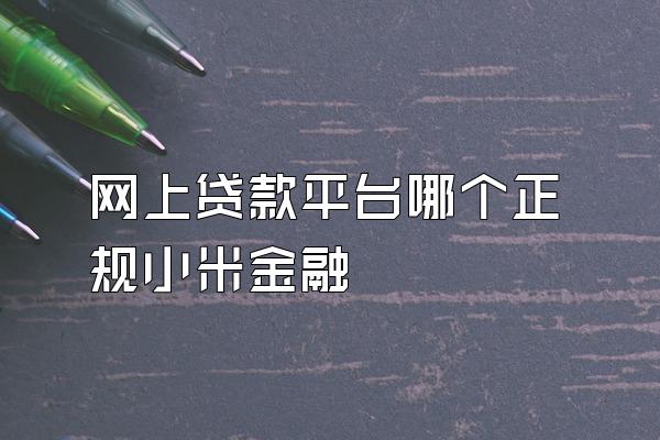 网上贷款平台哪个正规小米金融