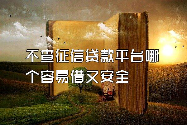 不查征信贷款平台哪个容易借又安全