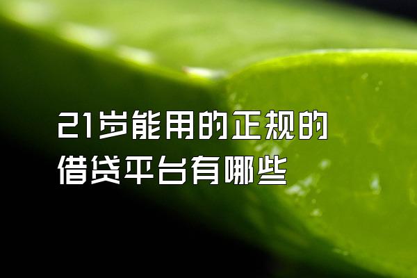21岁能用的正规的借贷平台有哪些