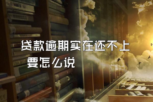贷款逾期实在还不上 要怎么说