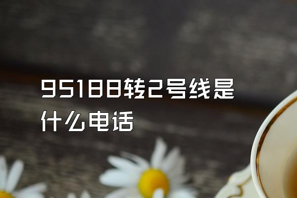 95188转2号线是什么电话