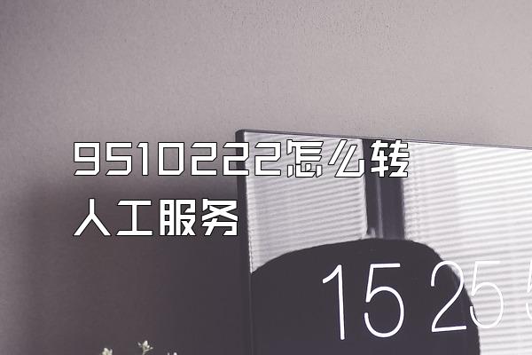 9510222怎么转人工服务