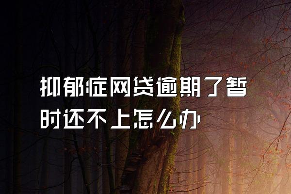 抑郁症网贷逾期了暂时还不上怎么办