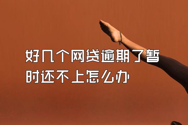 好几个网贷逾期了暂时还不上怎么办