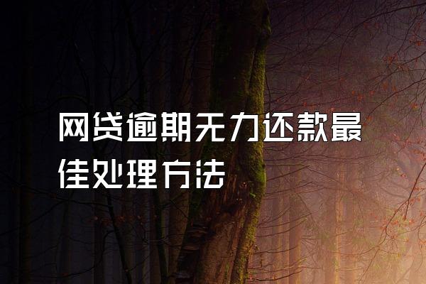 网贷逾期无力还款最佳处理方法